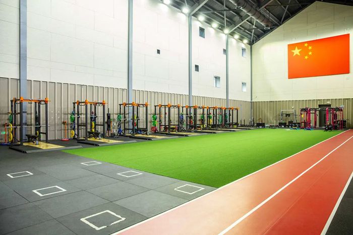 体能训练解决方案-广西壹号娱乐体育